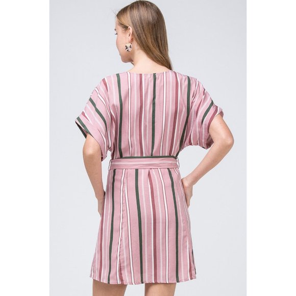 entro Striped Shirtdress, Pink - Picture 3 of 6